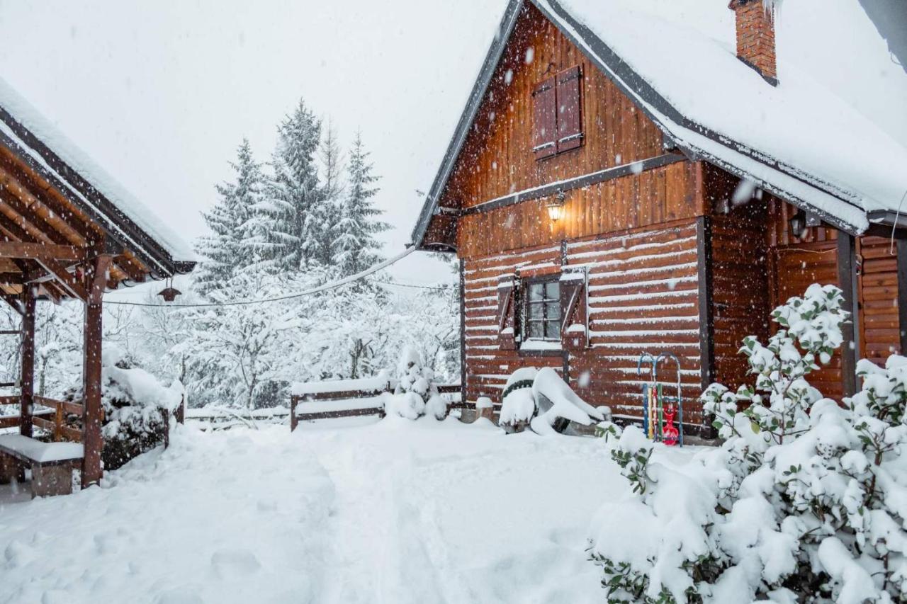 Brvnare Na Brdu Villa Sljivovica  Exterior photo