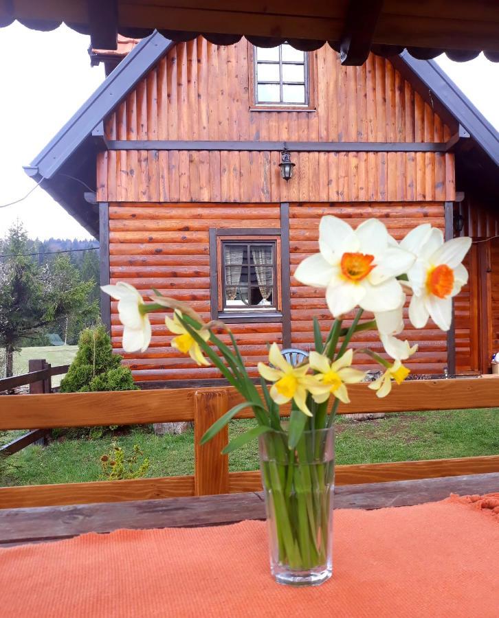 Brvnare Na Brdu Villa Sljivovica  Exterior photo